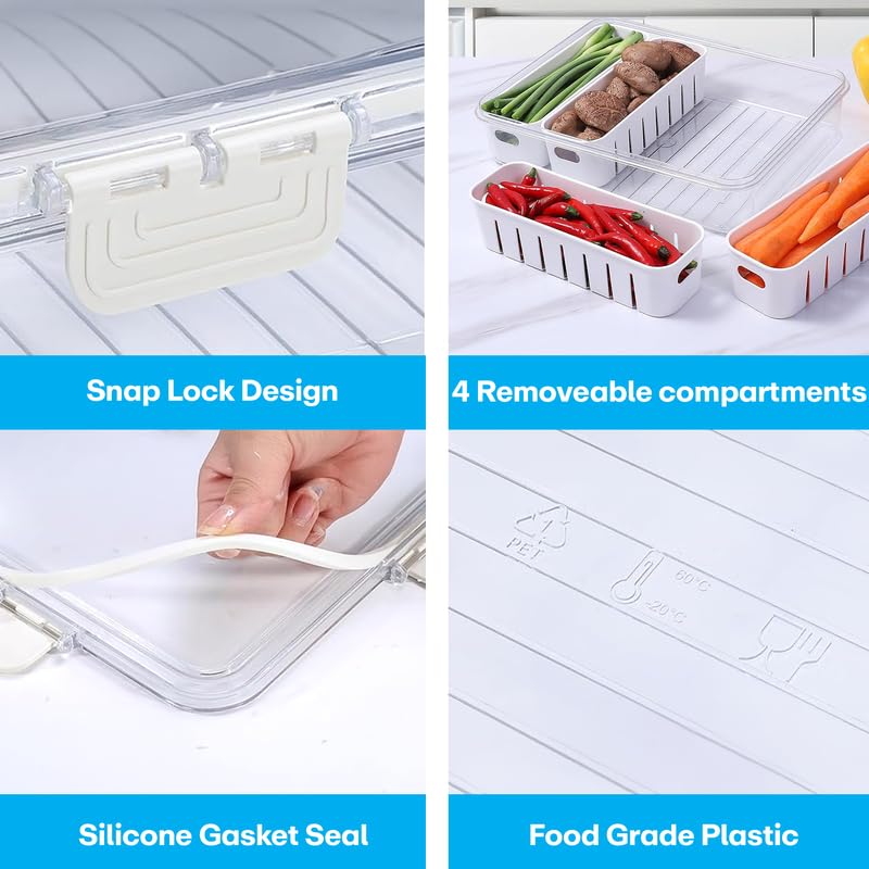 Multi Compartment Food Storage Box