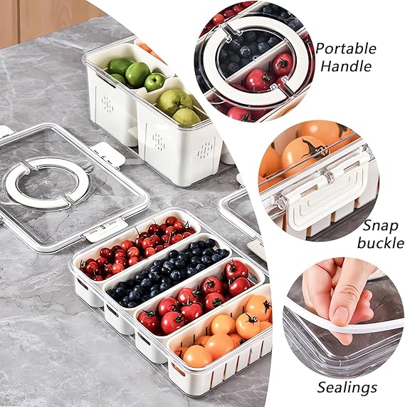 Multi Compartment Food Storage Box