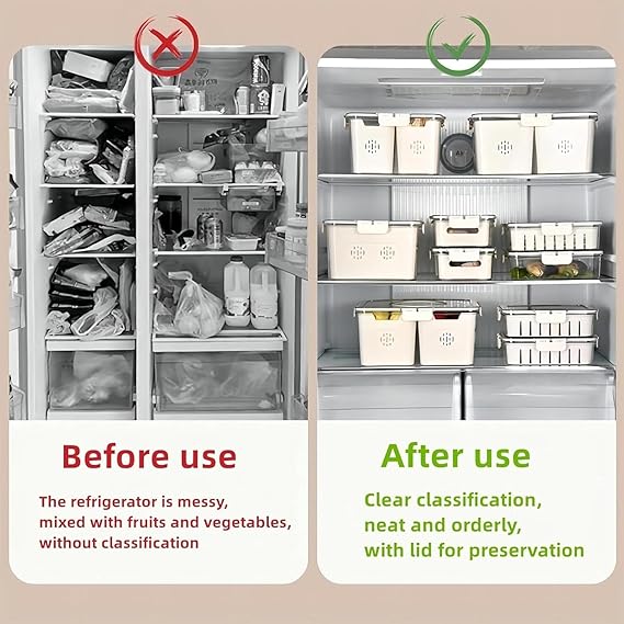Multi Compartment Food Storage Box