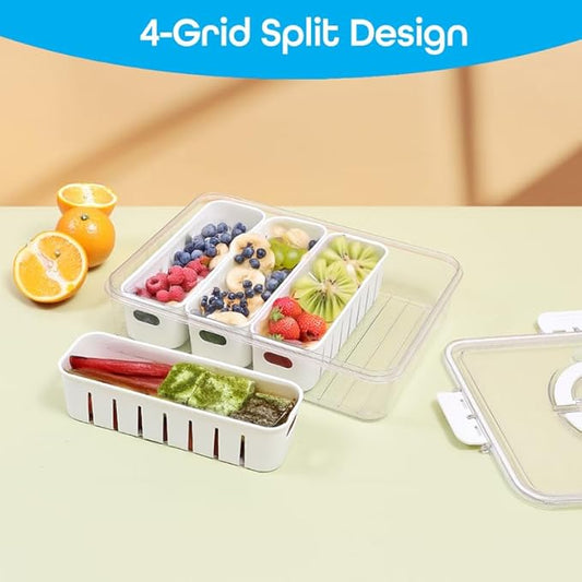 Multi Compartment Food Storage Box