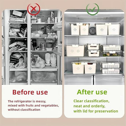 Multi Compartment Food Storage Box